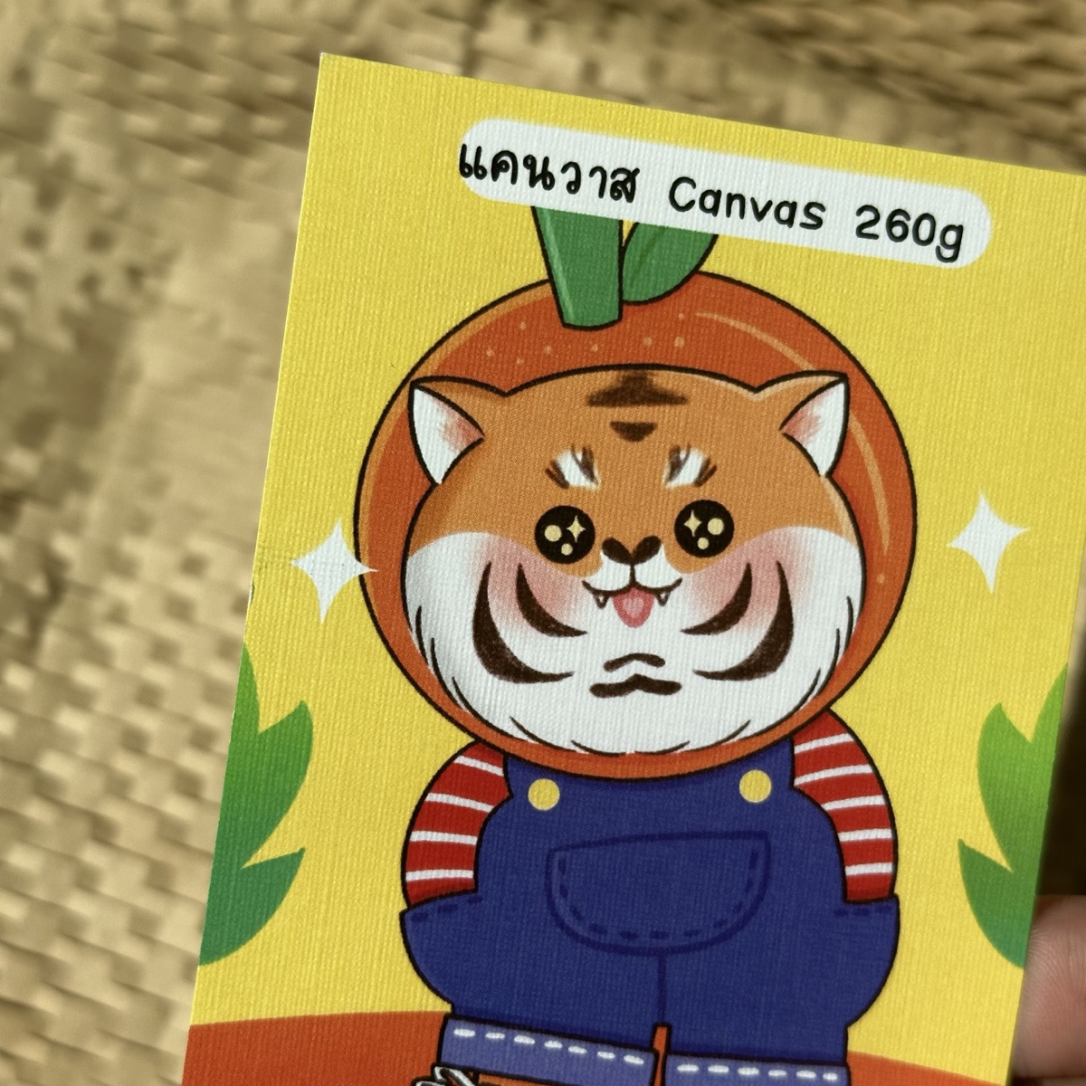 แคนวาส Canvas 260g