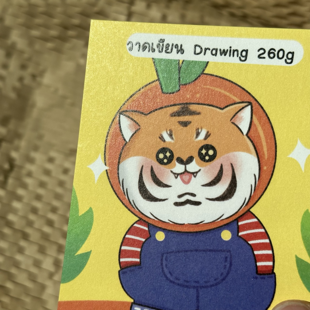 วาดเขียน Drawing 260g